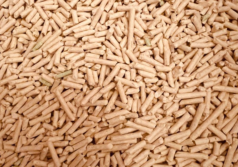 Wood fuel pellets